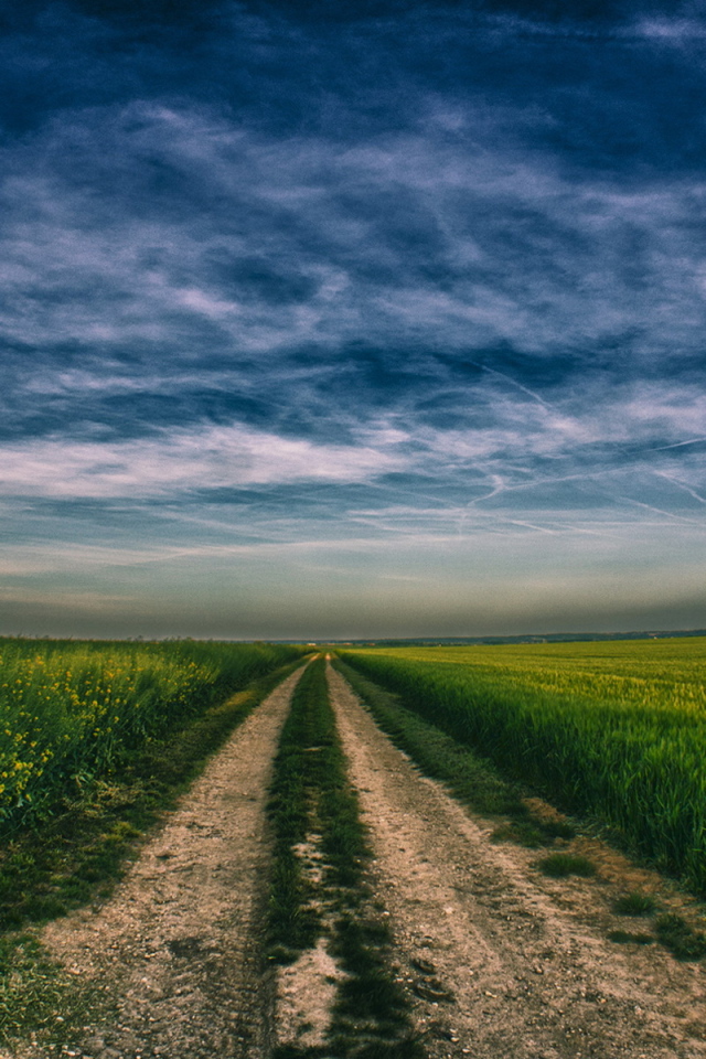 Дорога в поле