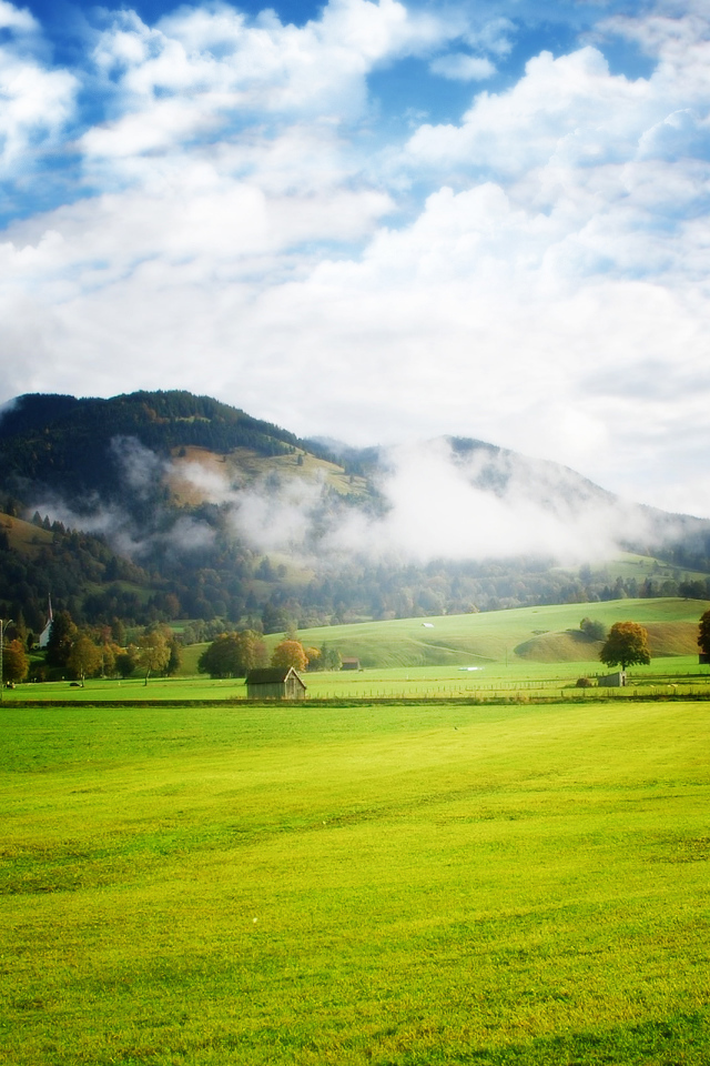 Просторы полей