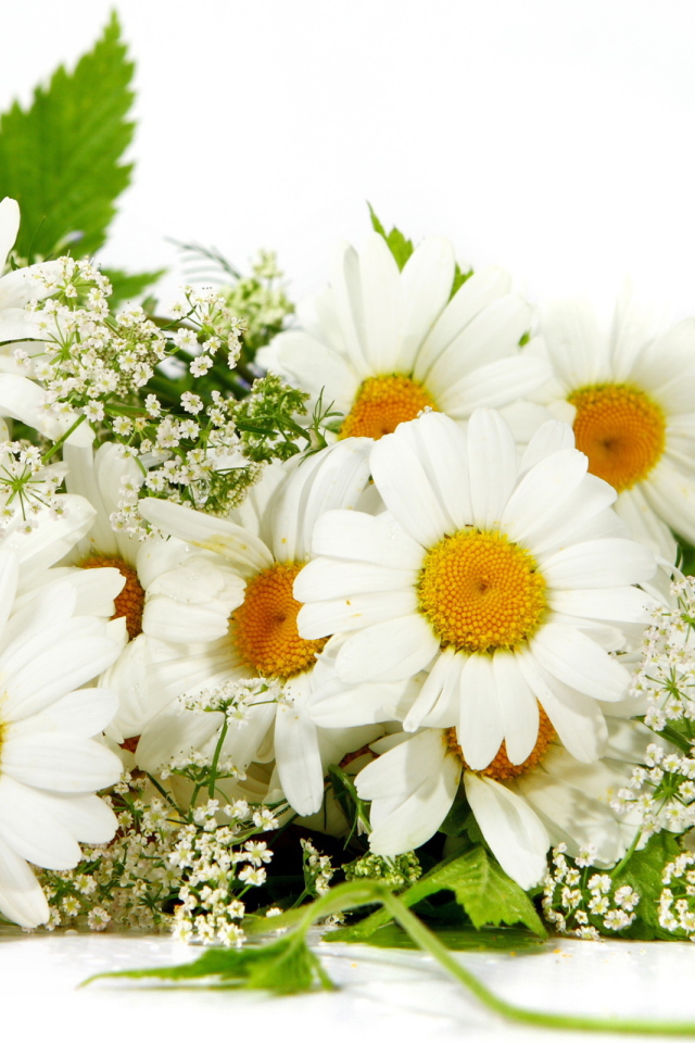 Букет из ромашек