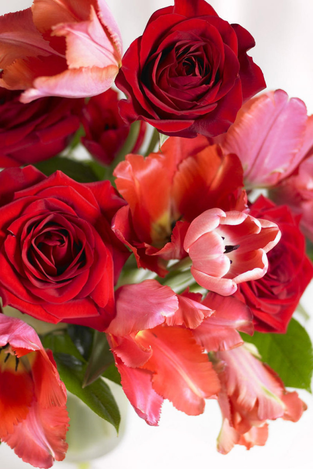 Букет тюльпанов и роз