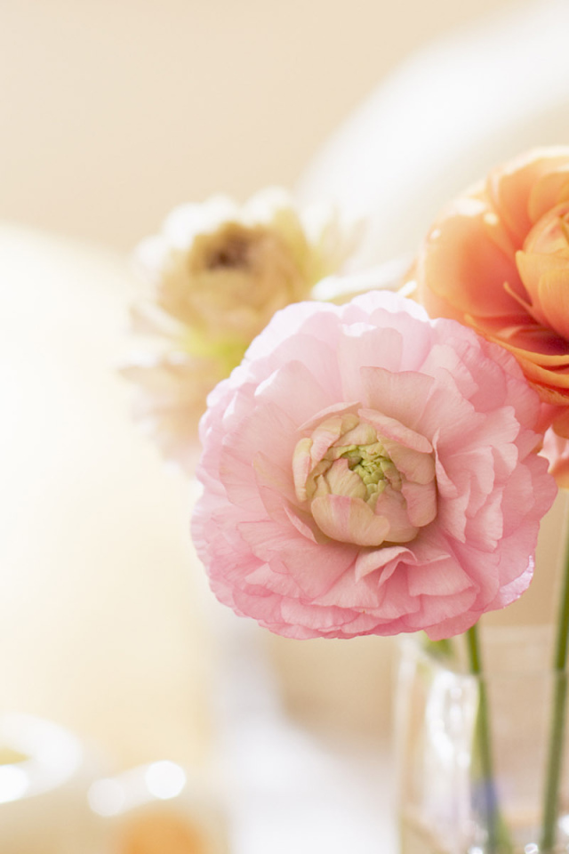 Нежные цветочки в вазе