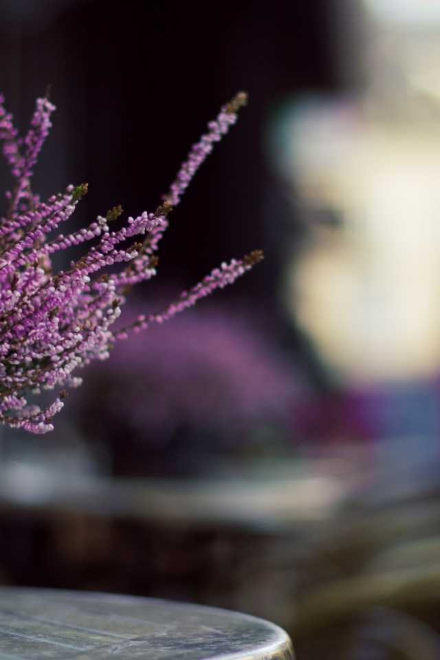 Цветы в корзинке