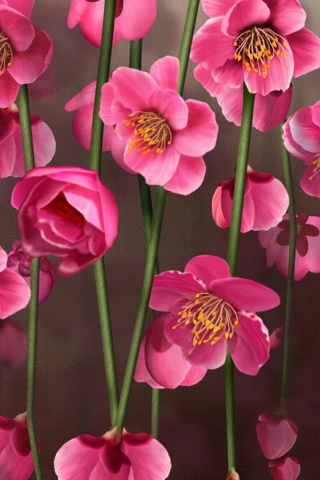 Рисунок цветов