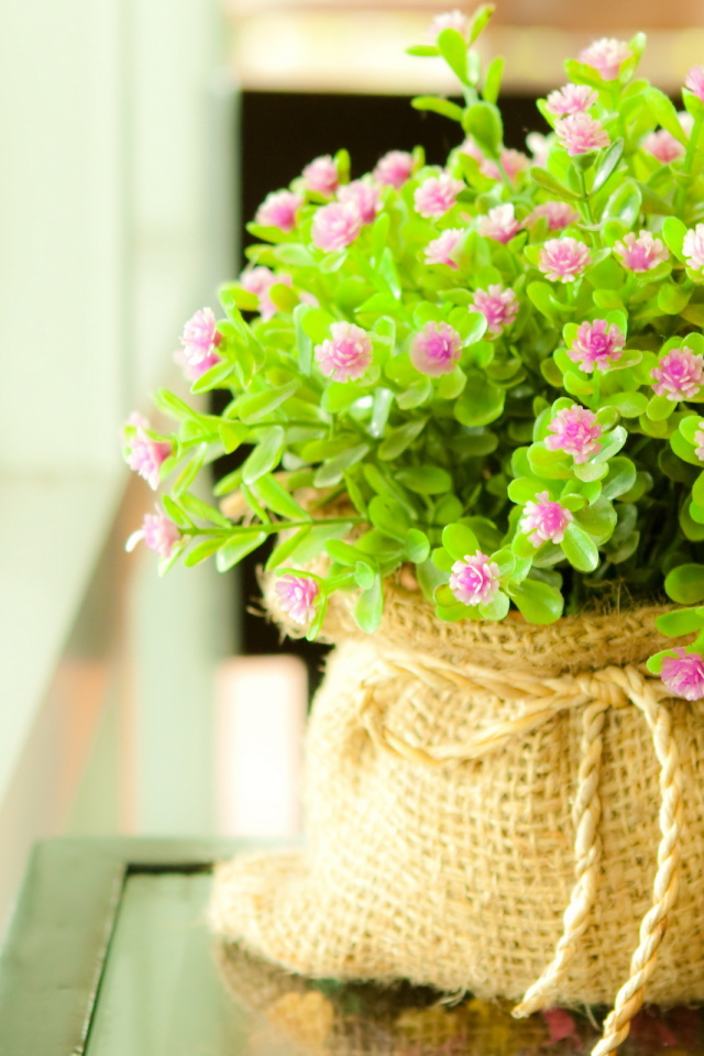 Мелкие цветочки