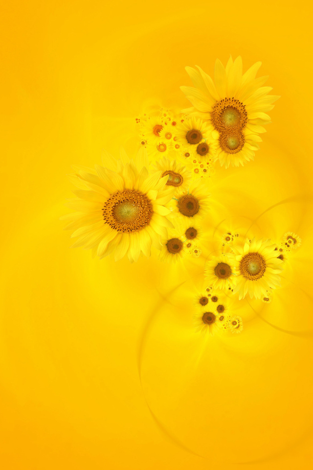 Подсолнухи на желтом фоне