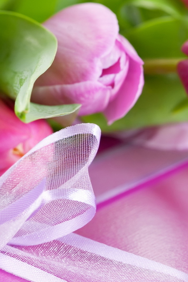 Тюльпаны и подарок