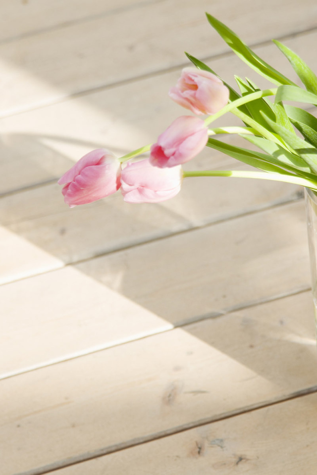 Тюльпаны в стакане