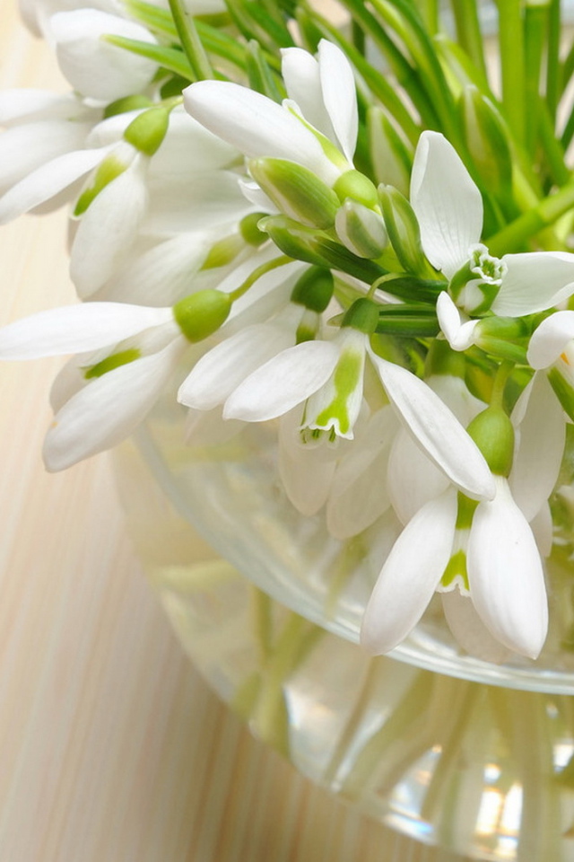 вазочка Подснежников