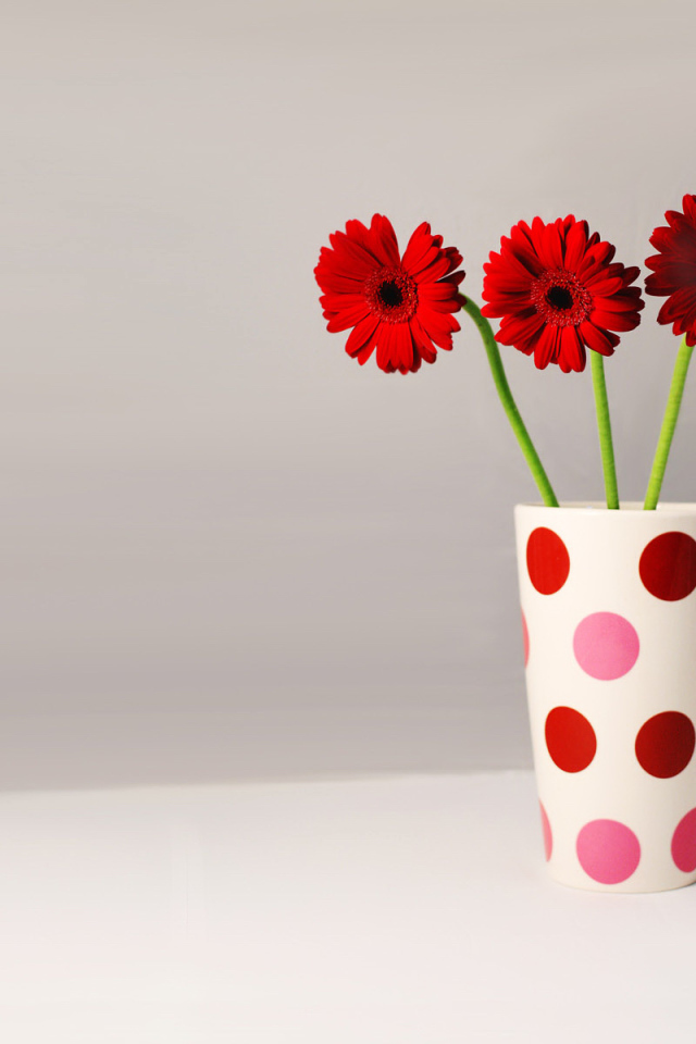 Три герберы