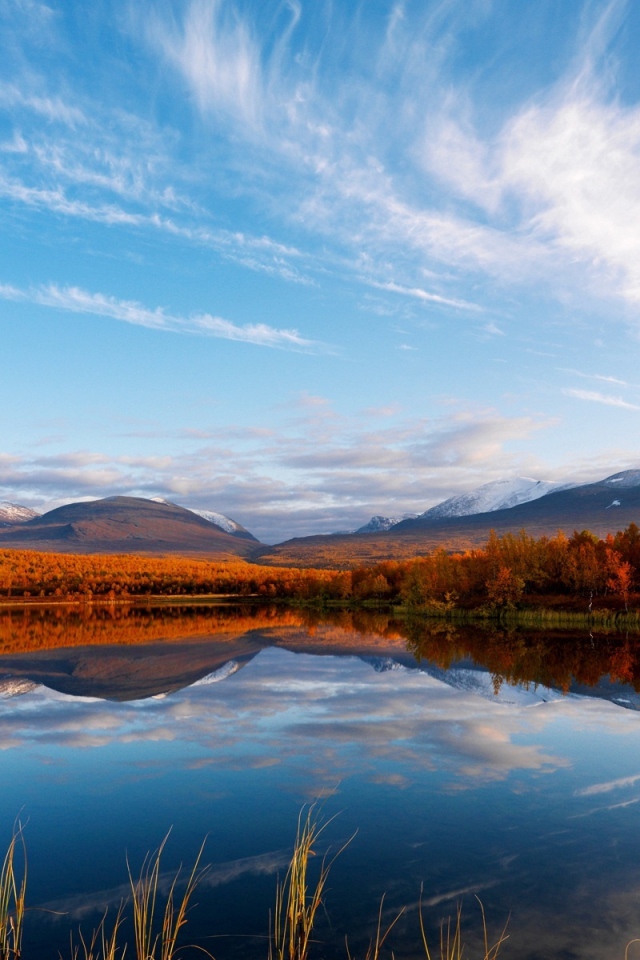 Осенний лес и озеро