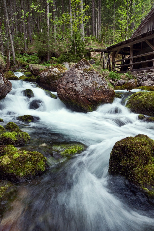 Лесная река фото