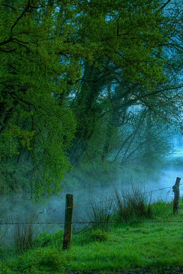 Туманная река