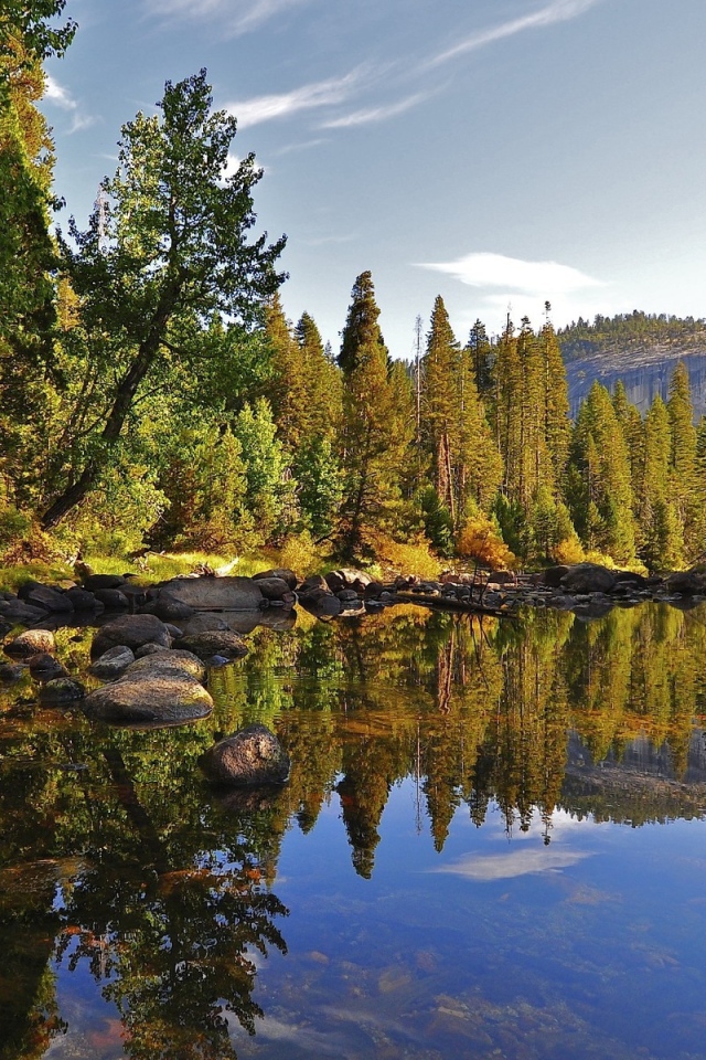 Маленькое лесное озеро