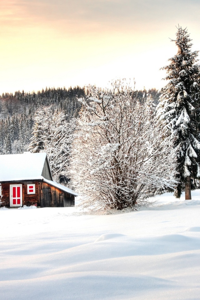 Домик в лесу