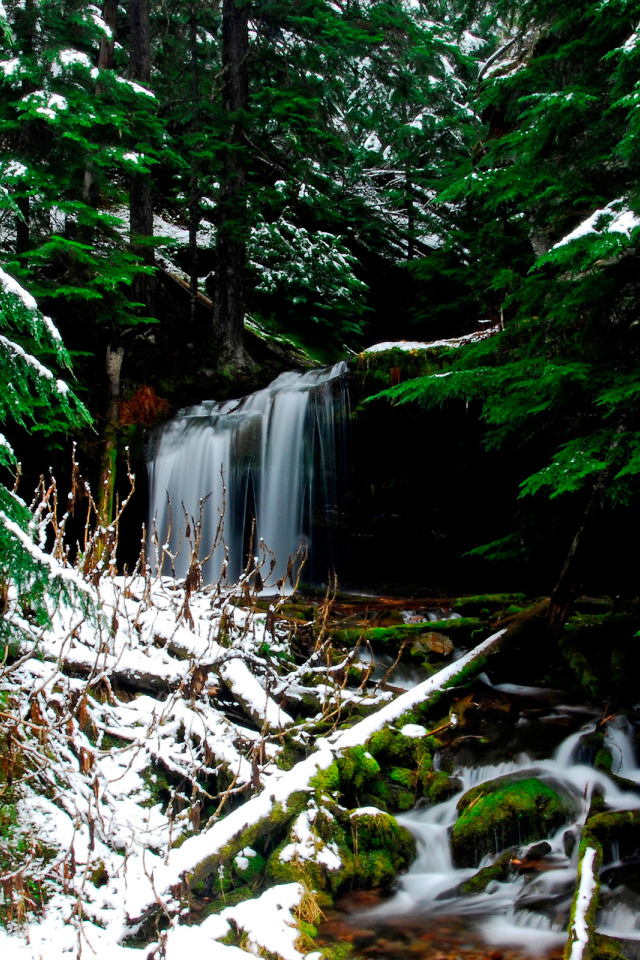 Ручей в лесу