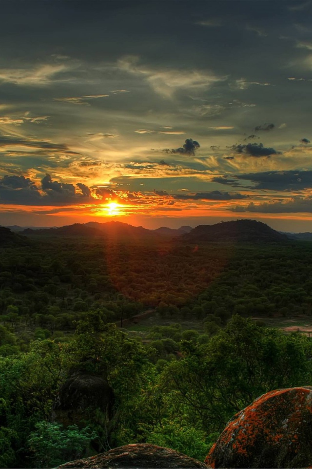 Лес с высоты гор