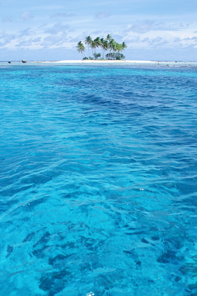 Остров с пальмами