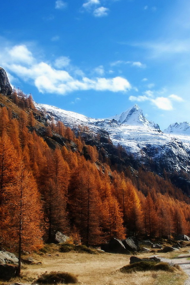 Высокогорный пейзаж