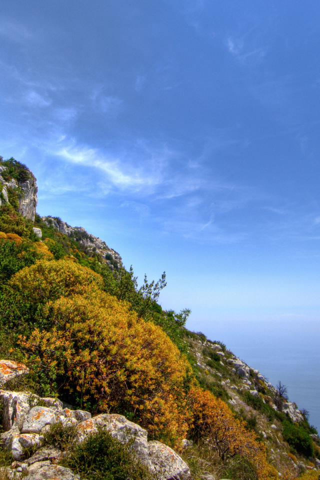 На вершине цветущей скалы