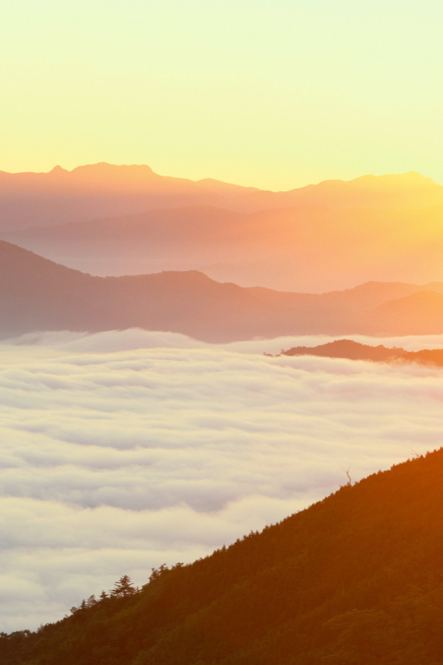 Густой туман