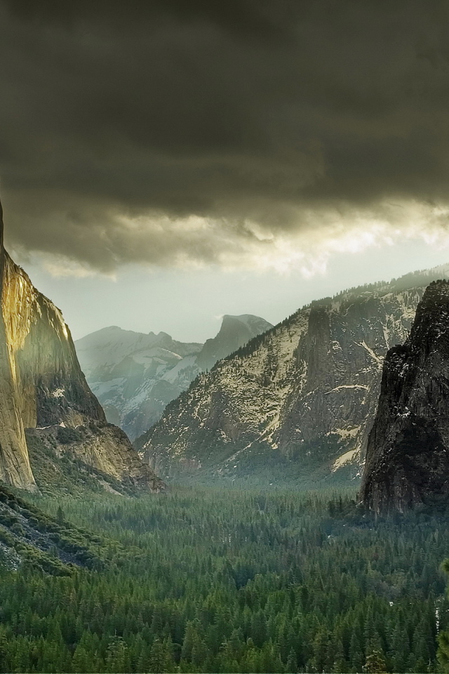 Лес у подножия гор