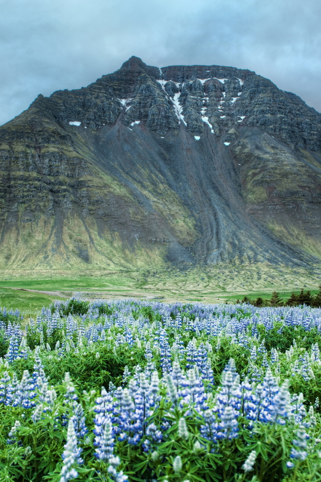 Высокая гора