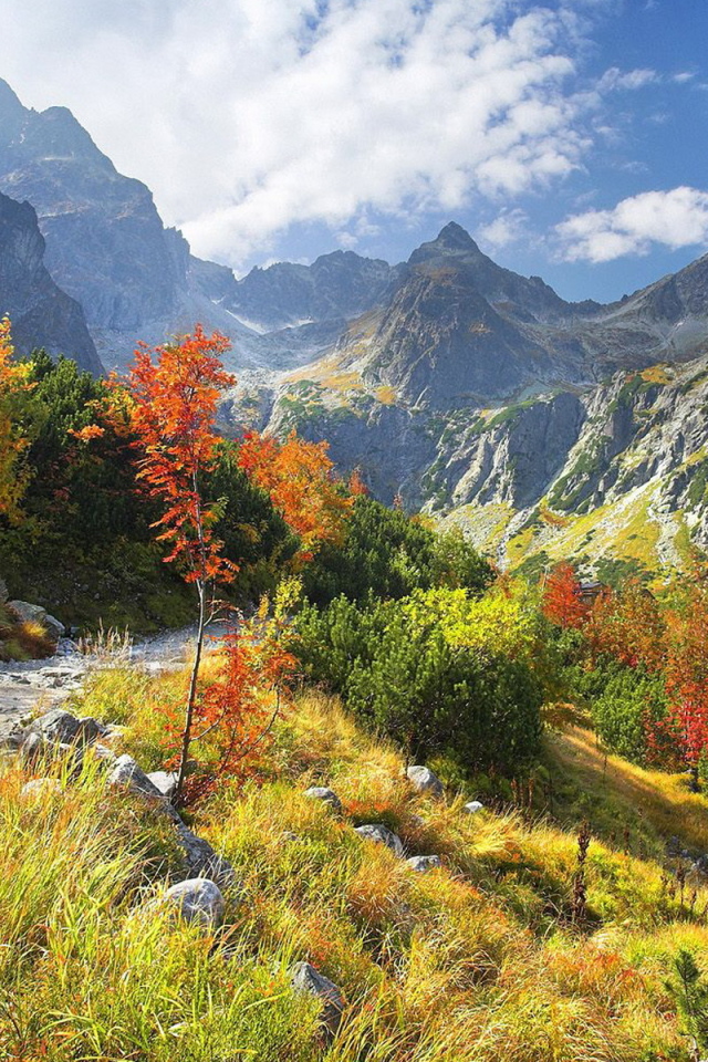 Горная тропа