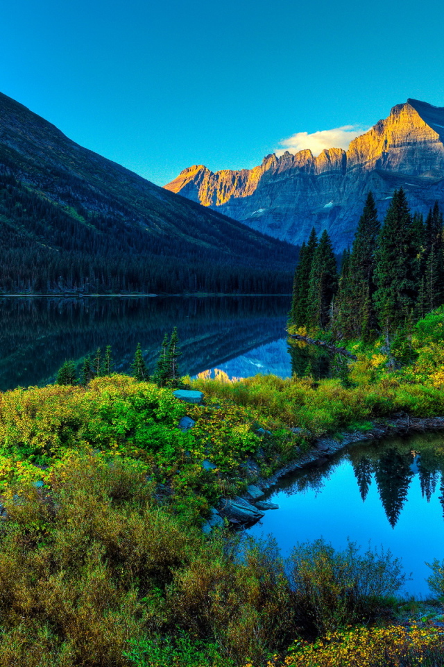 Горы, река и лес