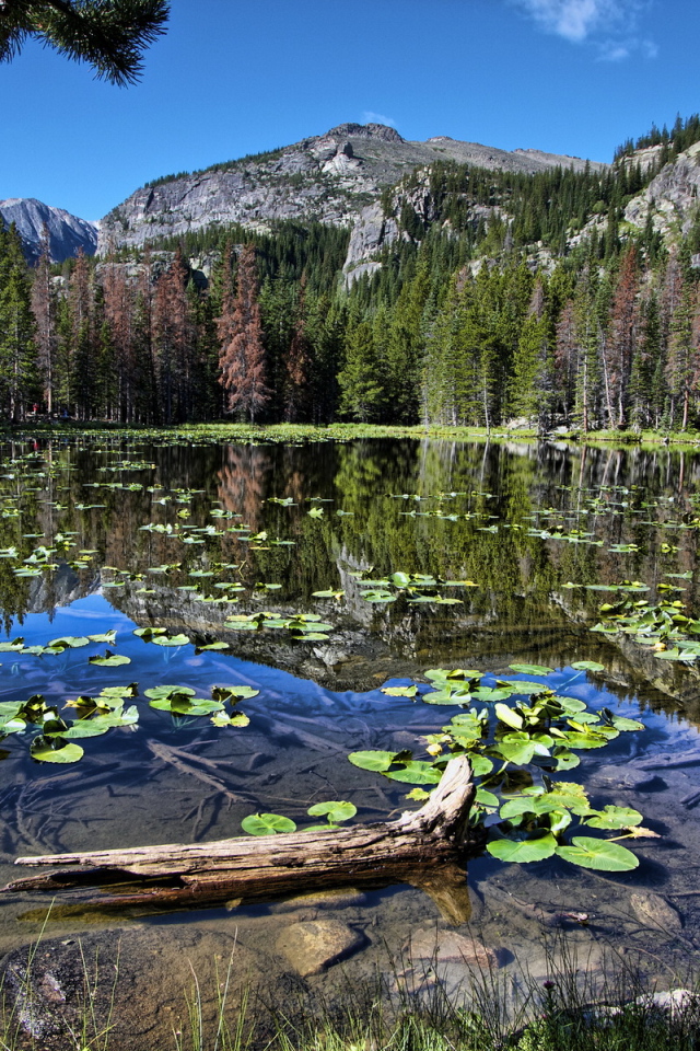 Горная запруда