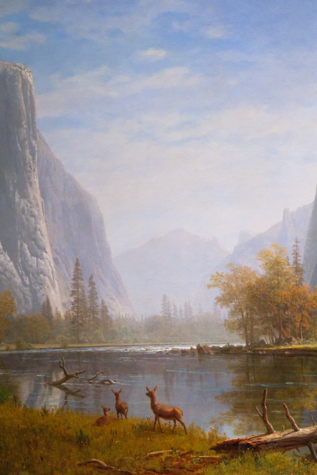 Горный пейзаж