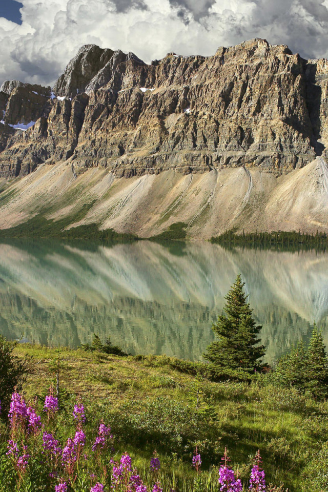 Горный пейзаж