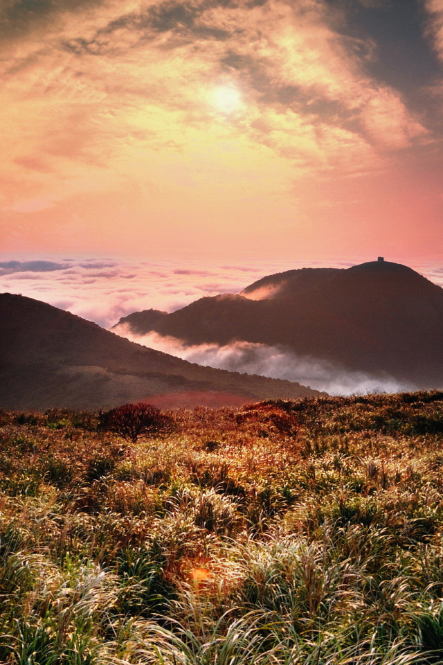 Горы и туман