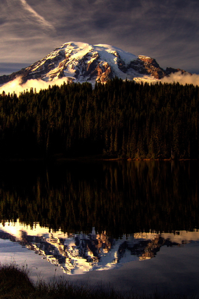 Горы за лесом