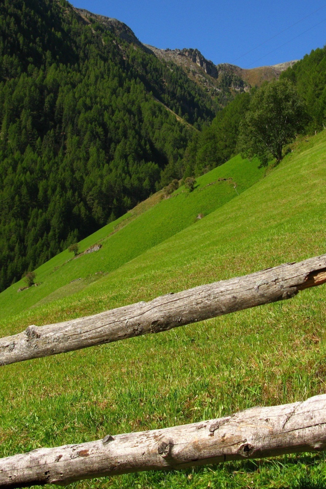 На склонах гор