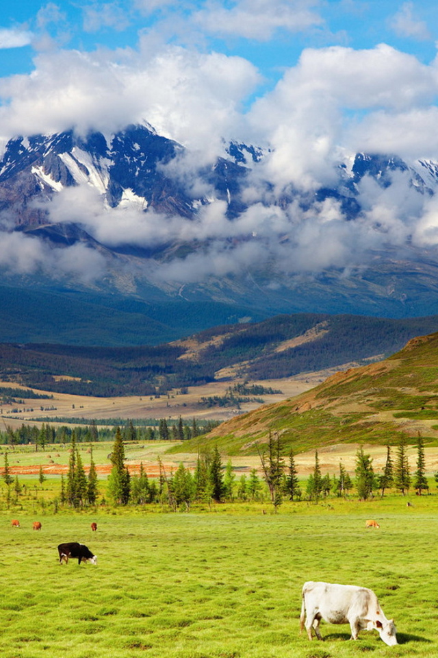 Пастбище у подножия
