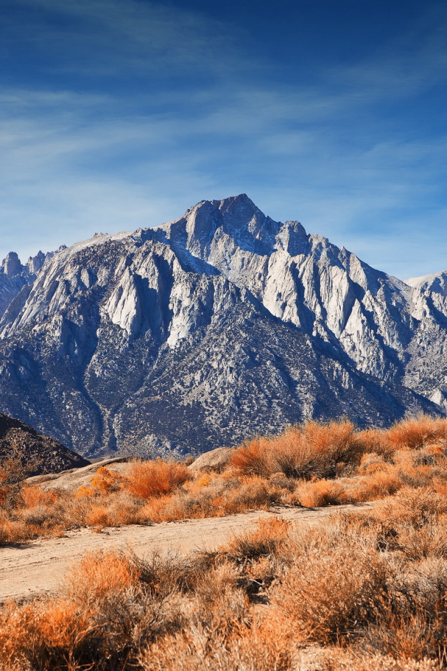 Горный хребет