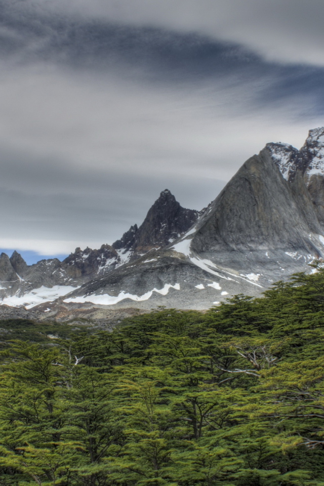 Скалы за лесом