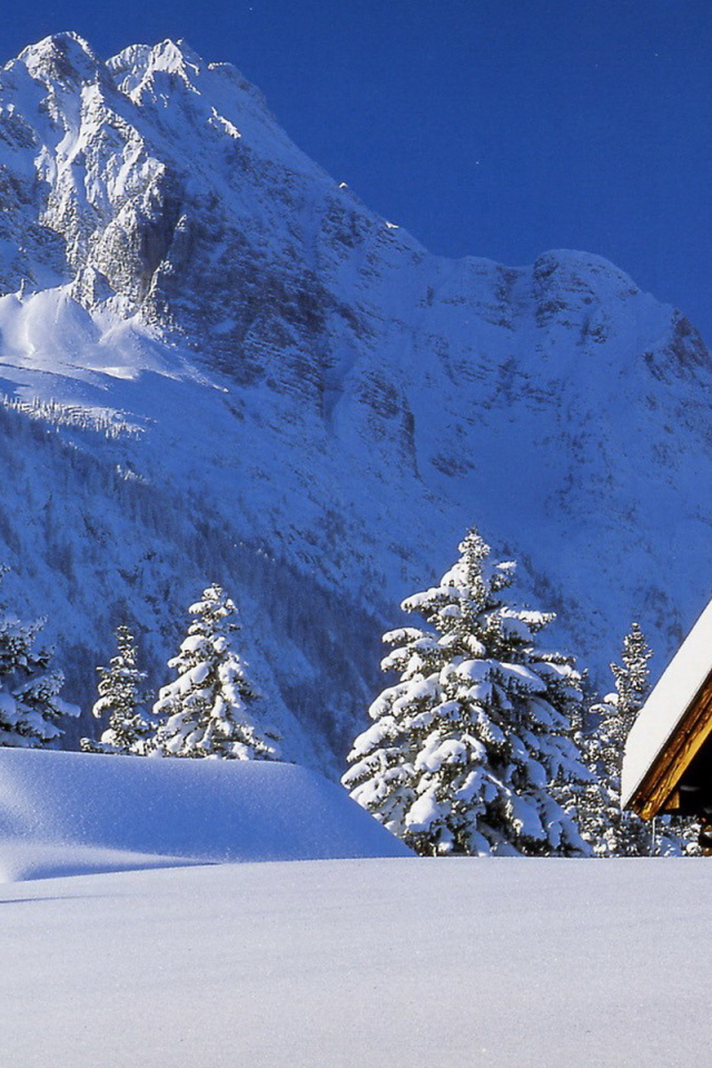 Снежная вершина