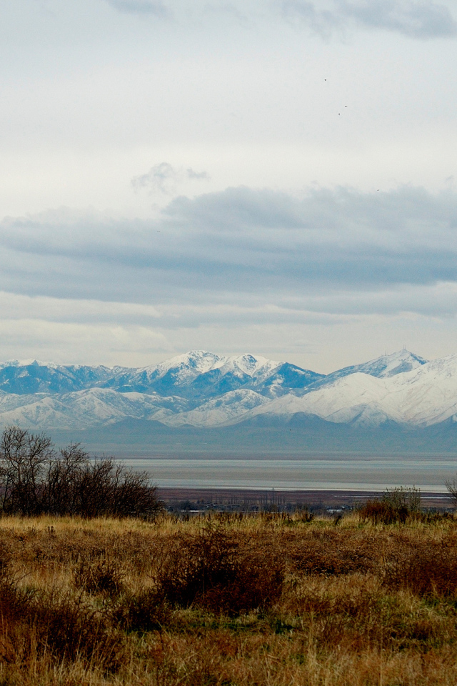 Снежные вершины