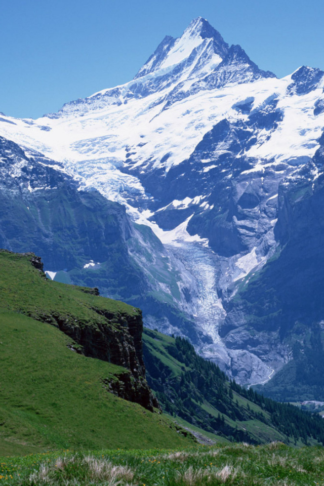 Снежная вершина