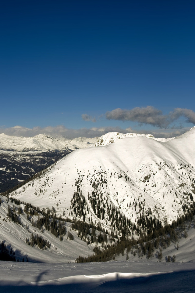 Снежные вершины
