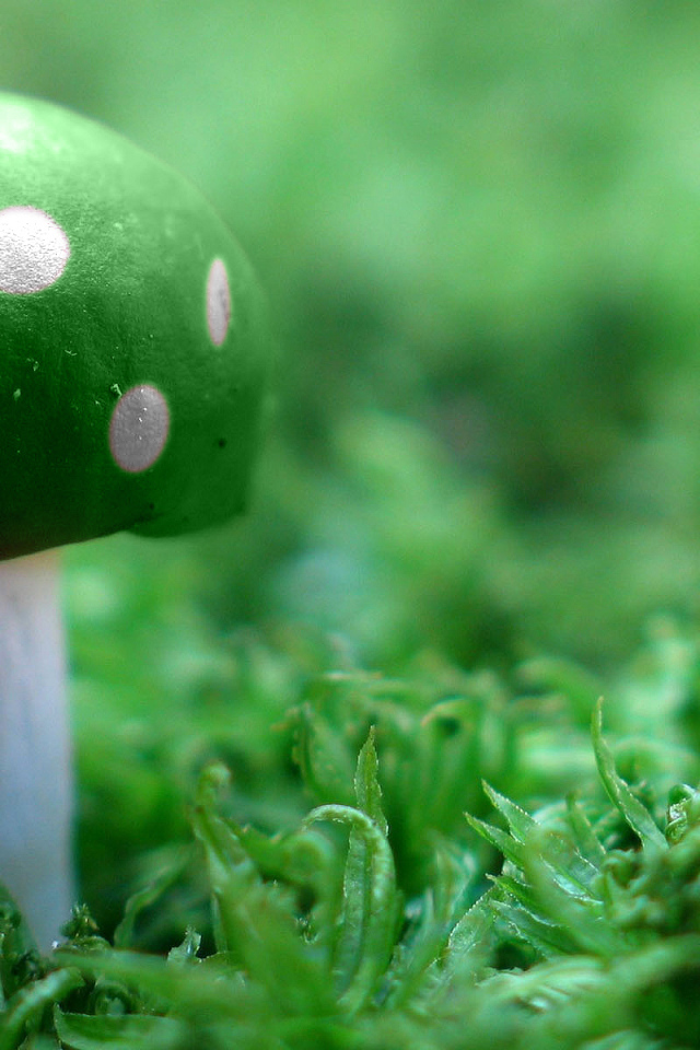 Зеленый мухомор