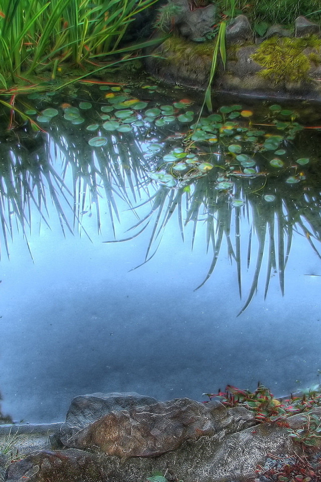 Среди камышей