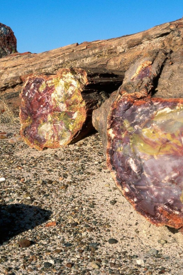 Древняя порода