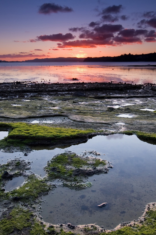 Омелевший берег