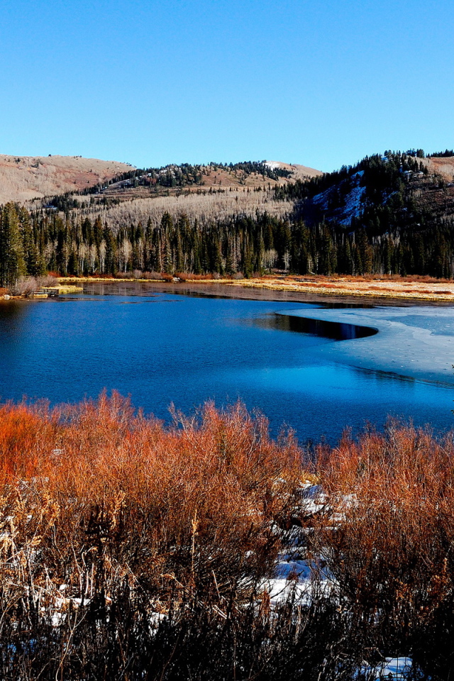 Красивый пейзаж