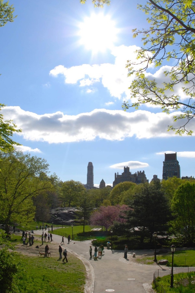 Городской парк