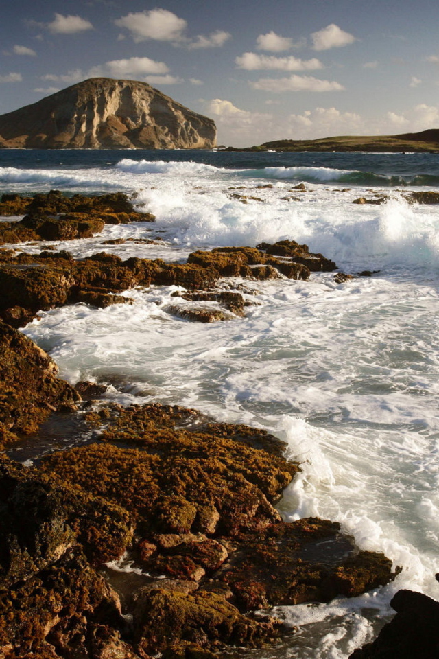 Морской берег