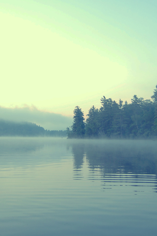 Туман в сумерках