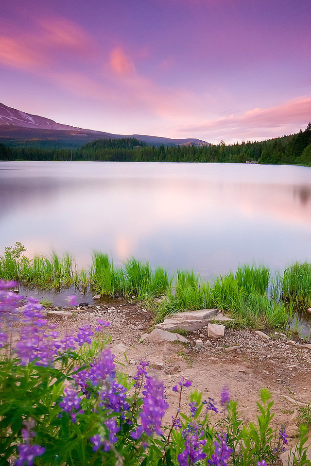 Лесное озеро